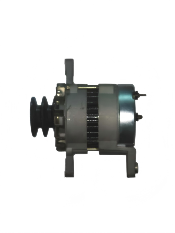 ALTERNATOR 6008253120